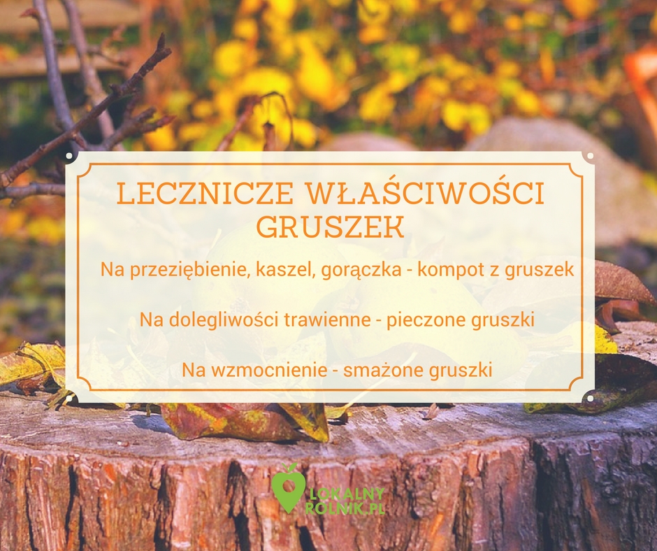 gruszki_infografika