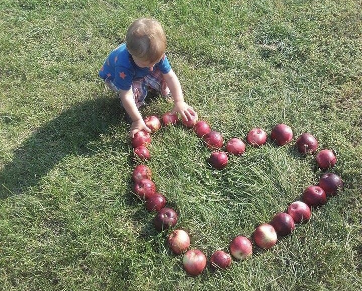 Owoce z sadu Ekojabłonka Huberta Filipiaka